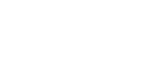 19 Plus